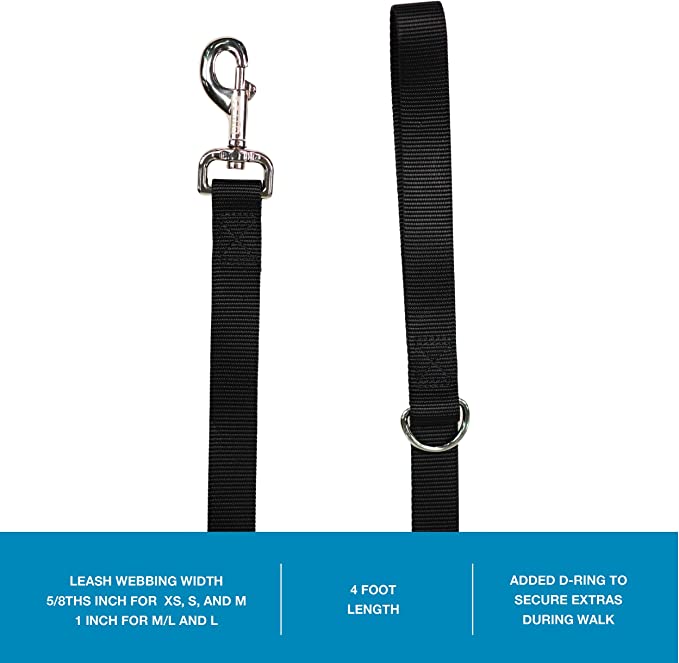 4 ft dog leash best sale