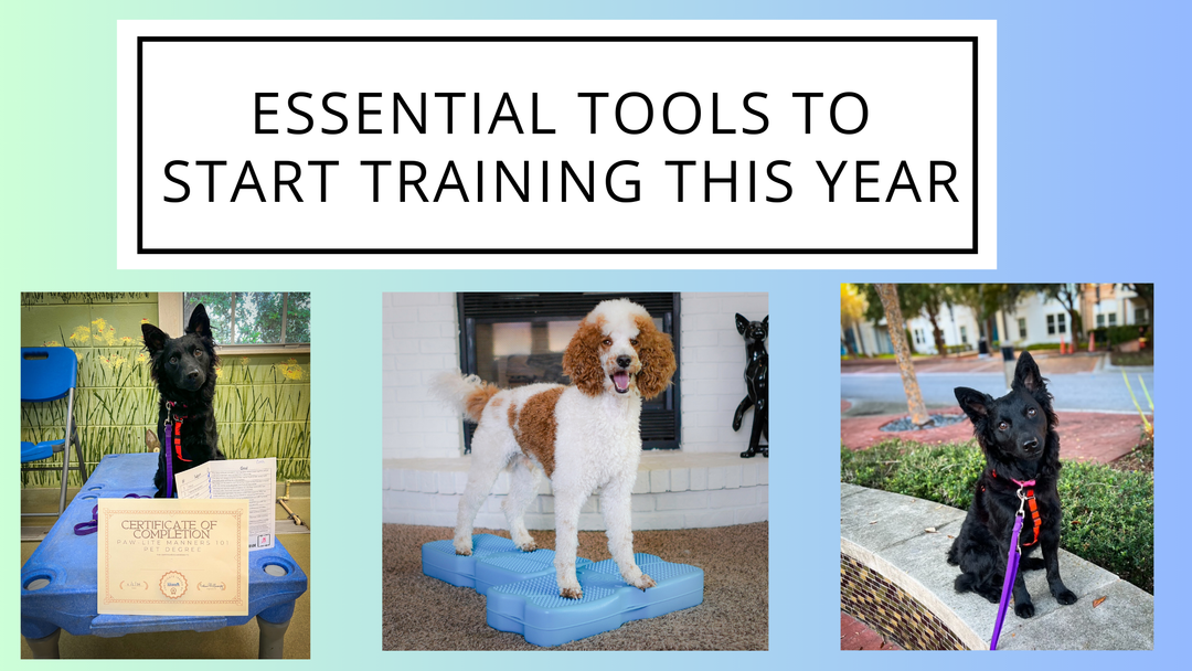 Essential Tools to Start Training This Year