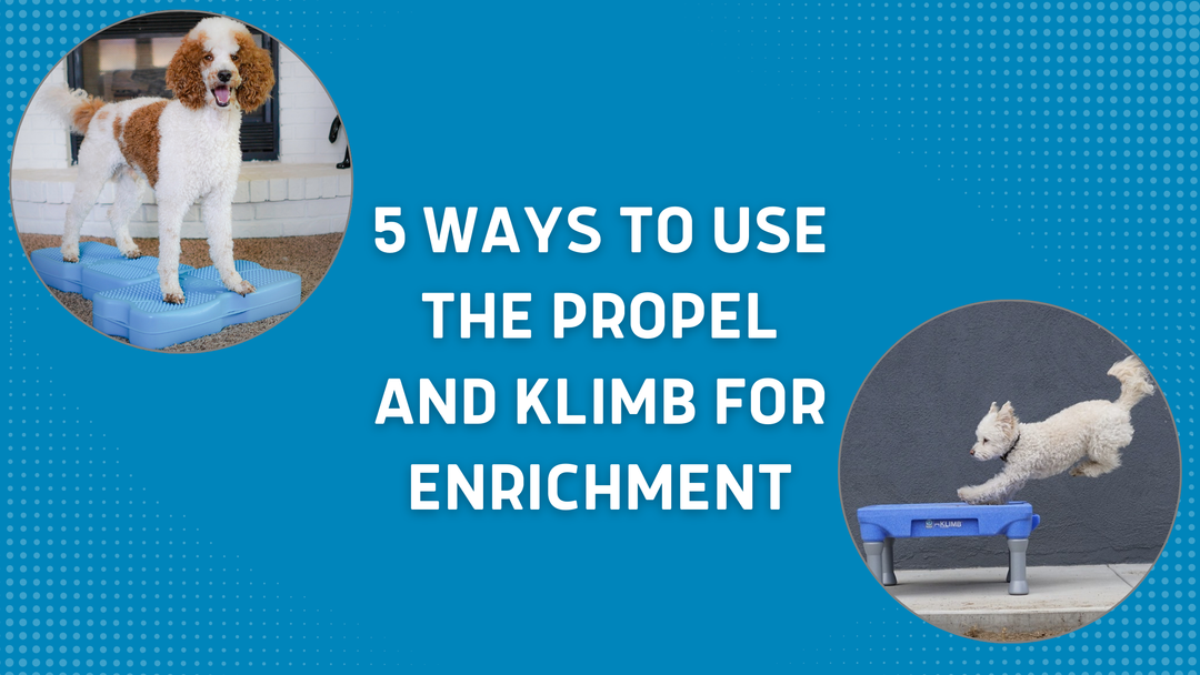 5 Ways to Use the Propel and KLIMB for Enrichment