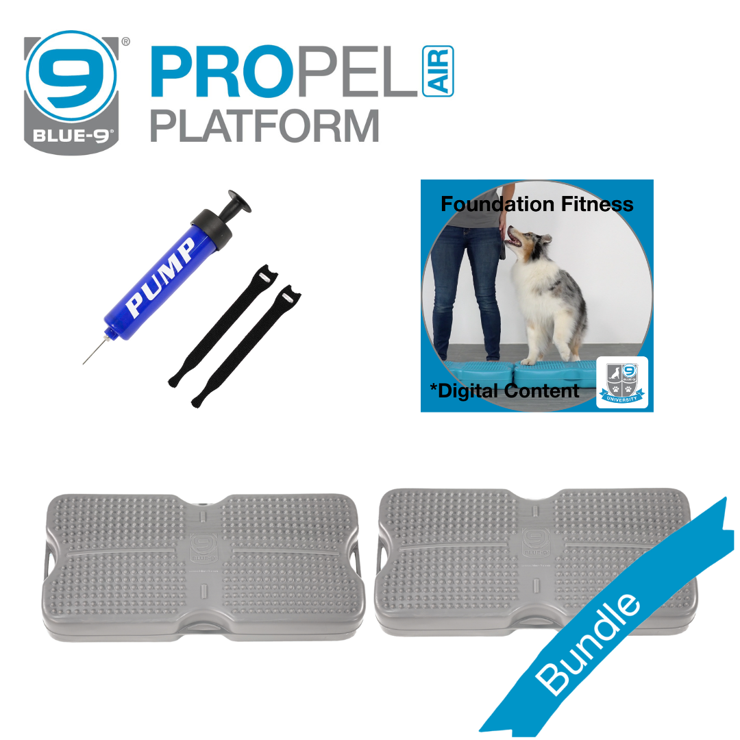 (2) Propel Platform Bundle (Digital)