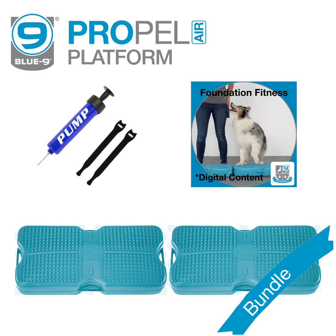 (2) Propel Air Platform Bundle (Digital)