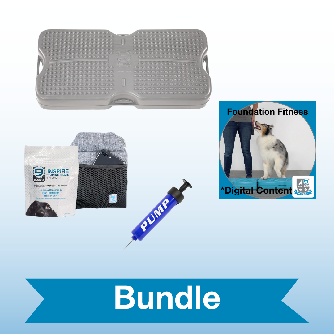 Active Dog Balance Bundle