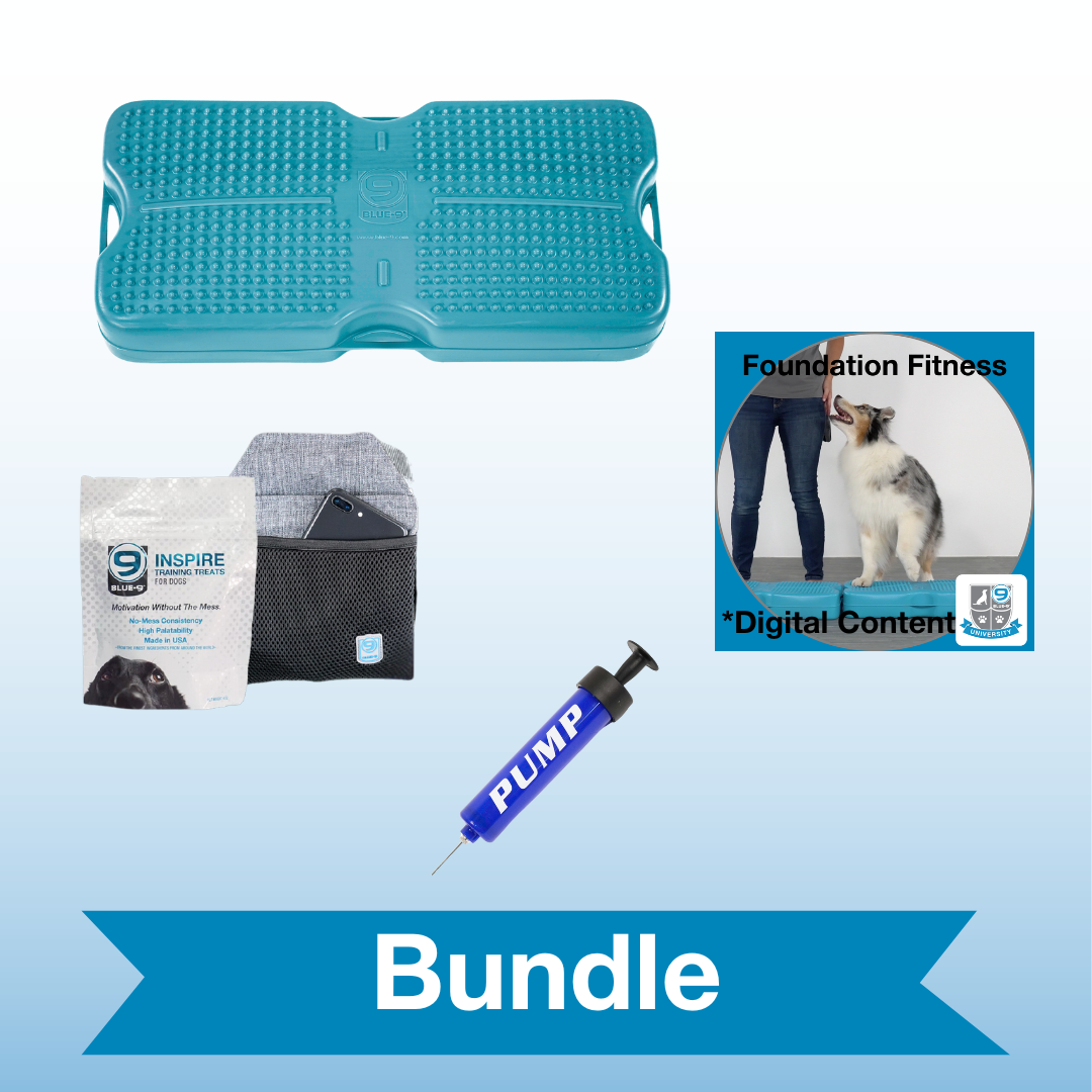 Active Dog Balance Bundle