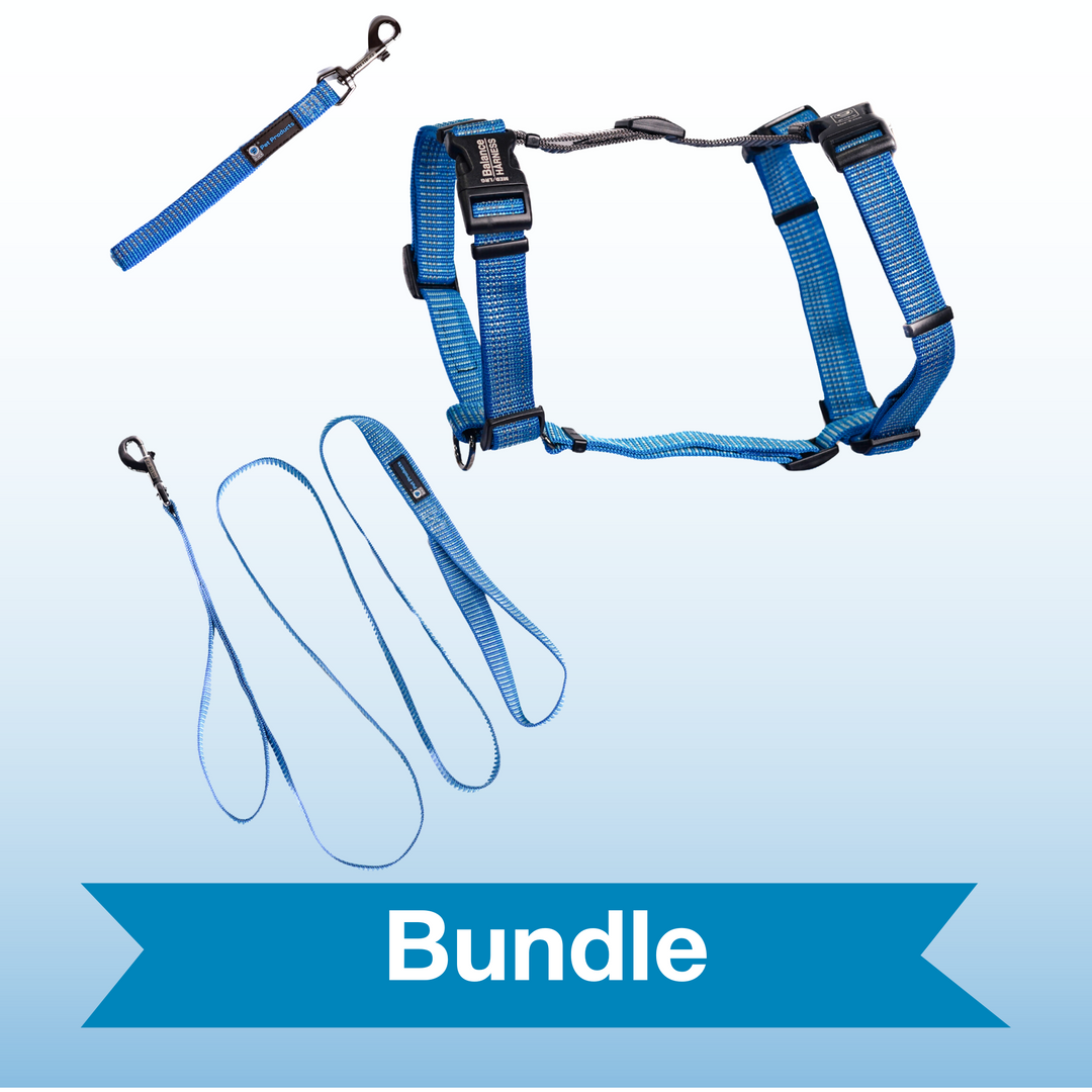 Blue Iceberg Reflective Balance Harness Bundle with 6' Leash