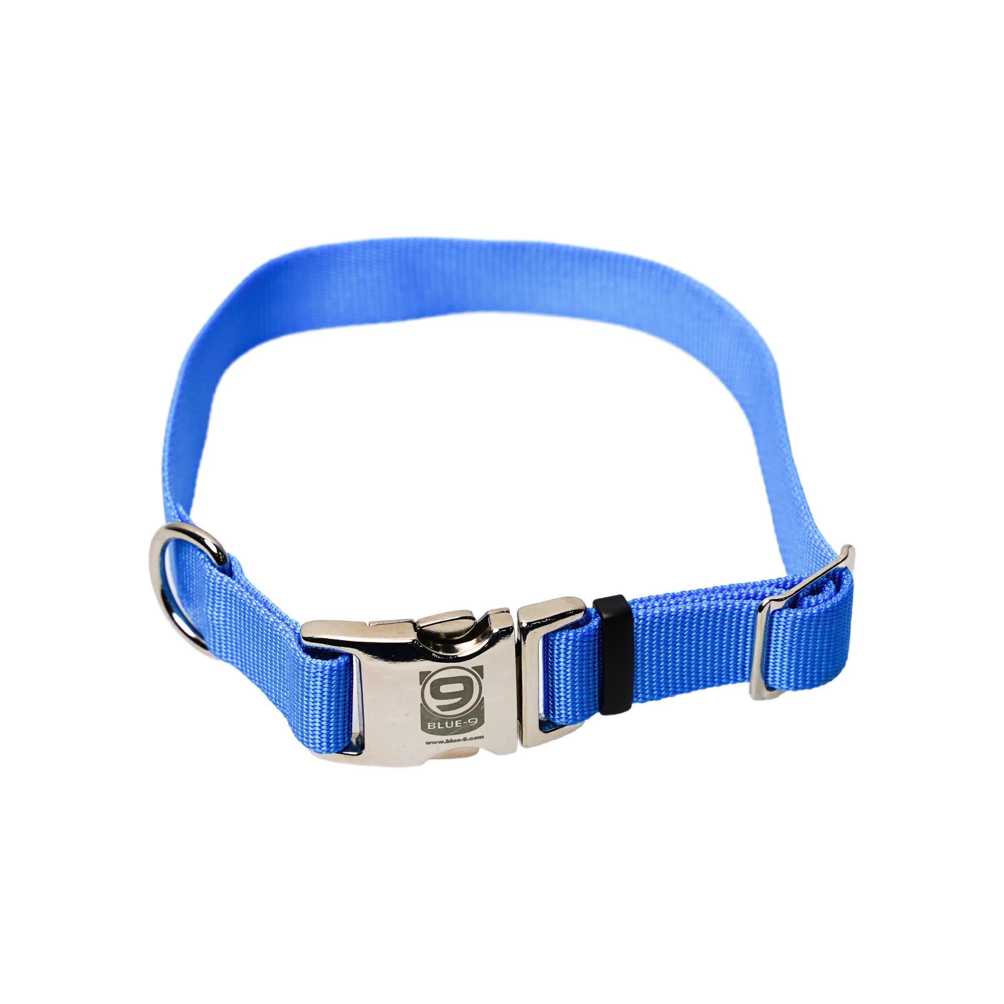 Bright blue dog collar best sale