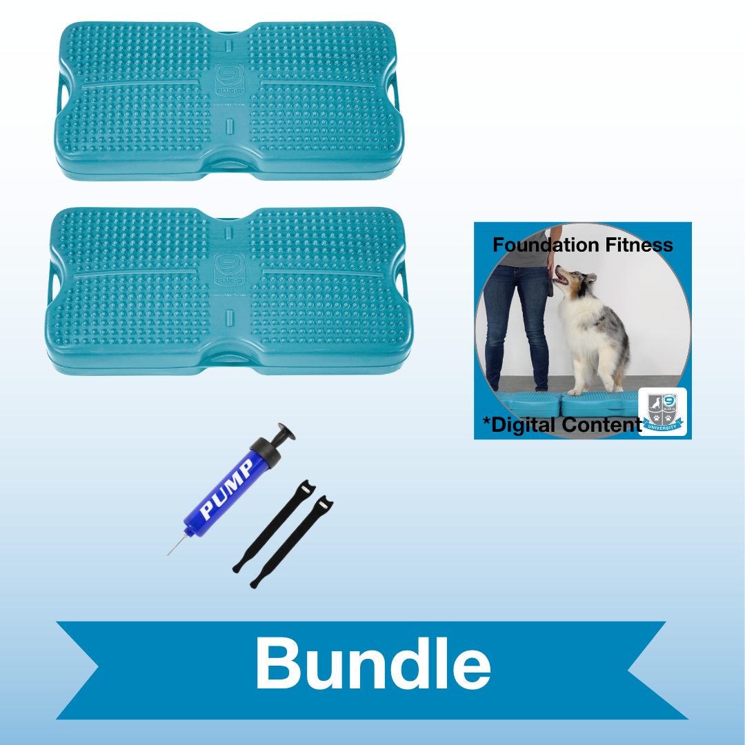 Double the Fun Activity Bundle