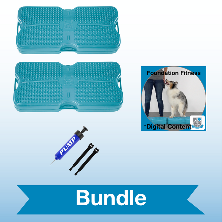 Double the Fun Activity Bundle