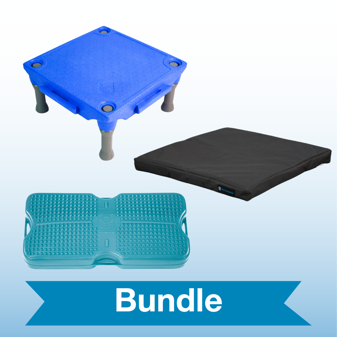 The Dream Bundle