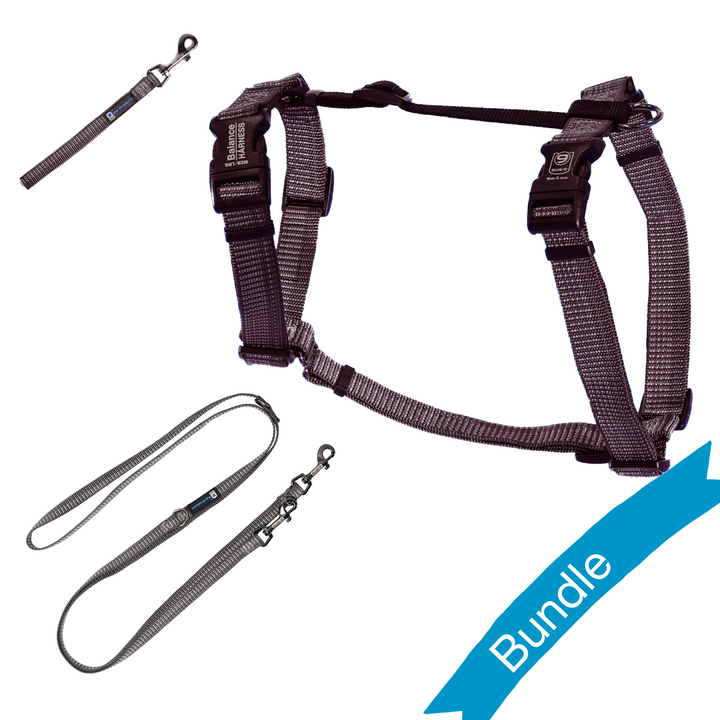 Grey Fog Reflective Balance Harness Bundle With Multi-Function Leash