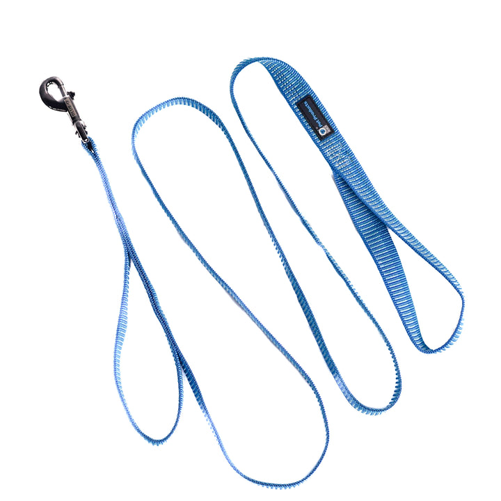 Blue Iceberg Reflective Balance Harness Bundle with 6' Leash