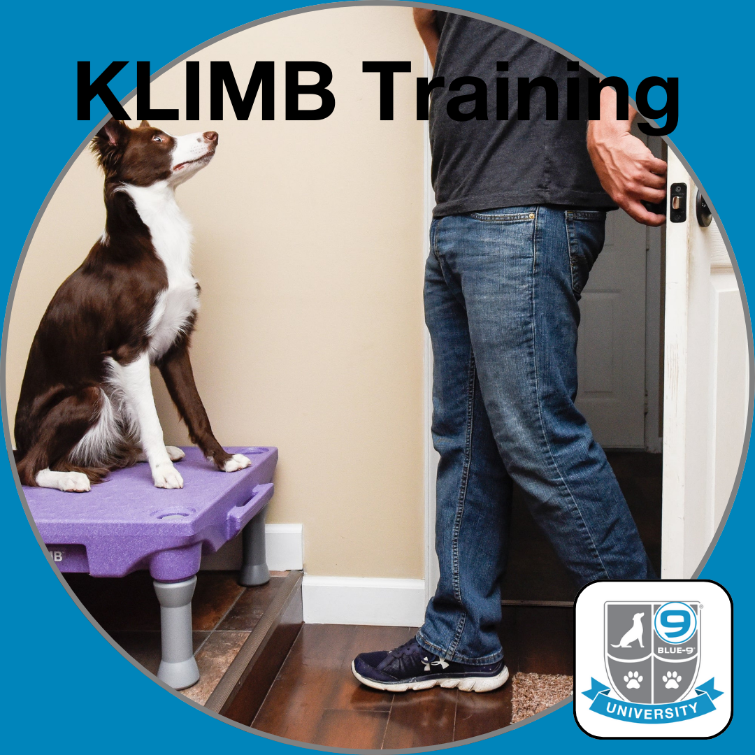 KLIMB Training - A Place for Your Dog (Digital)