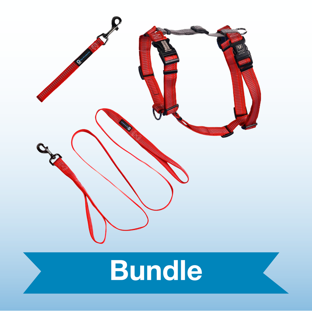 Red Ember Reflective Balance Harness Bundle with 6' Leash