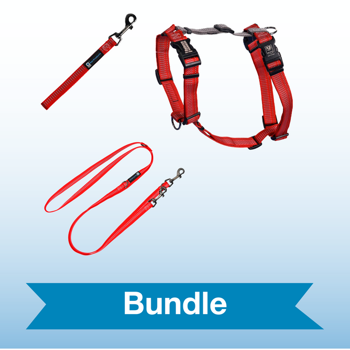 Red Ember Reflective Balance Harness Bundle With Multi-Function Leash