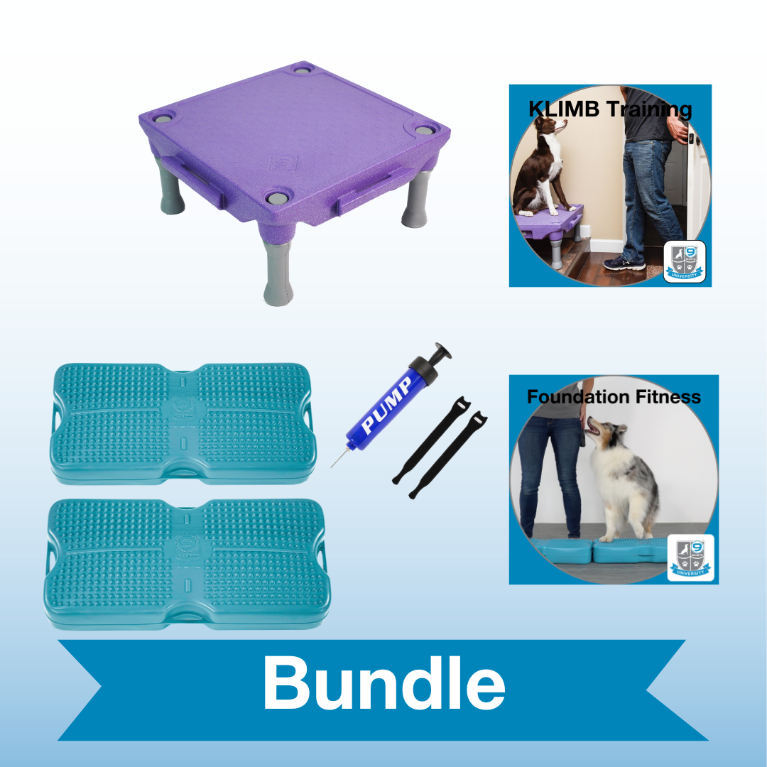 Ultimate Play and Enrichment Bundle