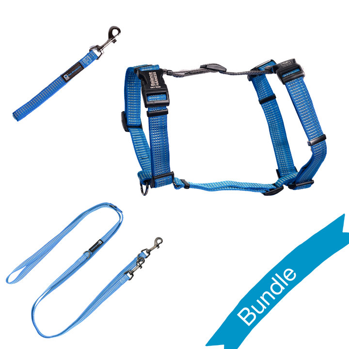 Blue Iceberg Reflective Balance Harness Bundle With Multi-Function Leash