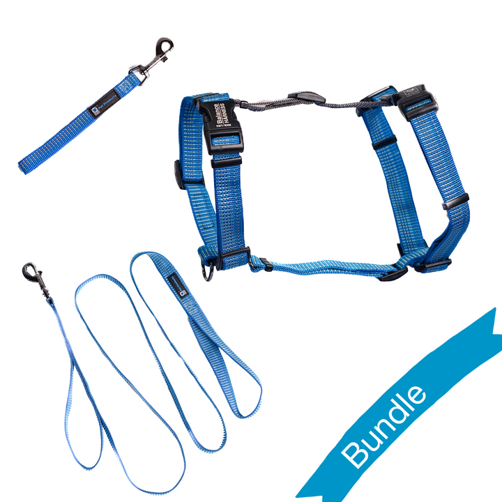 Blue Iceberg Reflective Balance Harness Bundle