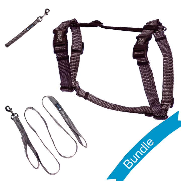 Grey Fog Reflective Balance Harness Bundle