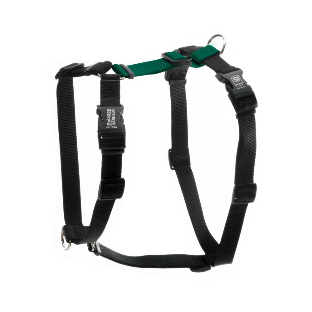 Balance Harness