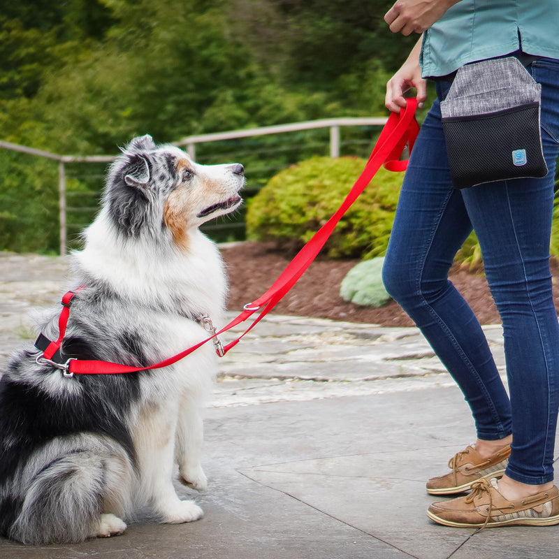 Balance Harness - Fully Adjustable Dog Harness