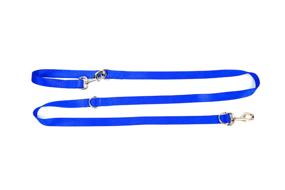 Blue dog leash hotsell