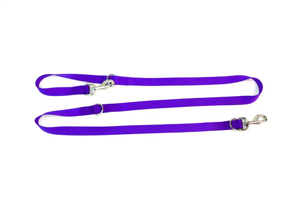 Multi leash best sale